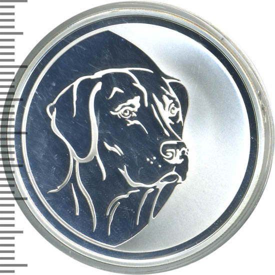 2000 dogs в рублях. Сахара марки собаки 2000. Год собаки приднестровье. 2000 dogs в рублях. Собака доминик.