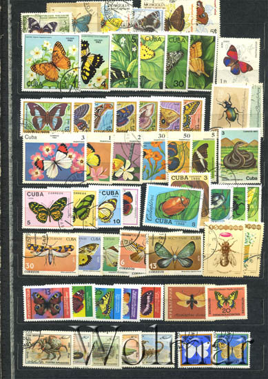 Импортные сигареты 90-х. Сигареты из 90-х кент. Марки 80-90 годов. Марки 90 х. Болгарские сигареты 80.