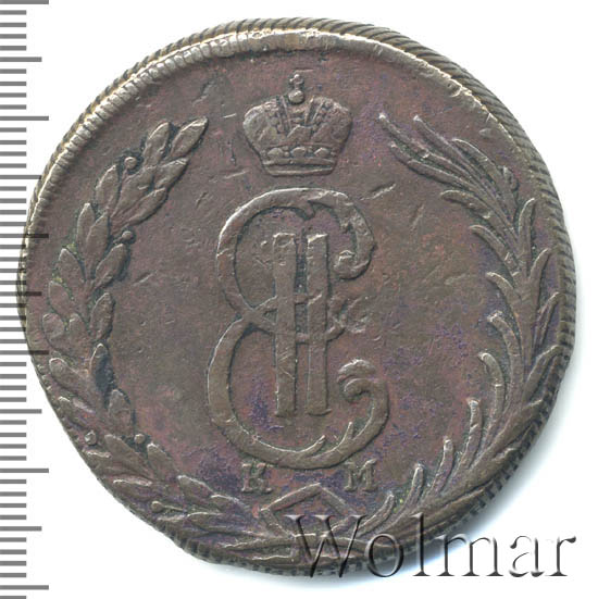 Тиін есекке кіріп кетеді