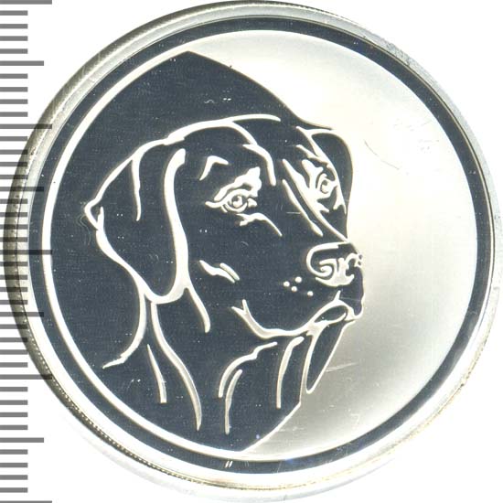 щенок с деньгами. щенок рубль. щенок с деньгами. щенок рубль. щенки за 1 рубль.